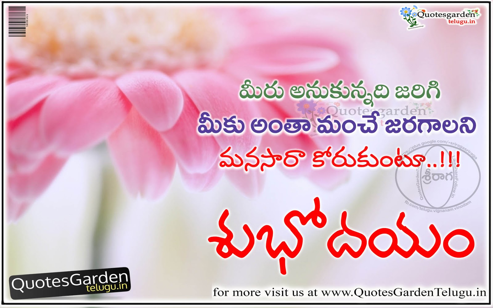 best good morning quotes in telugu | QUOTES GARDEN TELUGU | Telugu ...