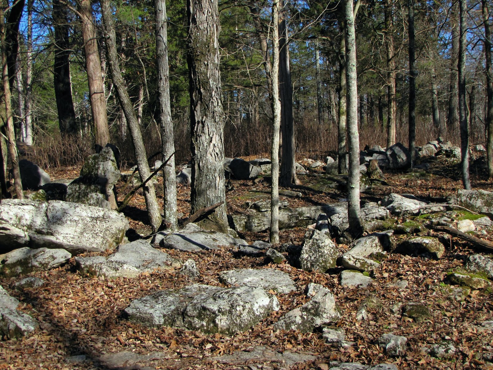 Get Me To The Country Rocks in Tennessee