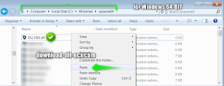 install accessibilitycpl.dll in the system folders C:\WINDOWS\syswow64 for windows 64bit