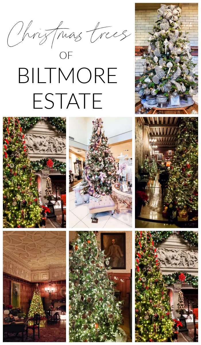 Christmas trees inside Biltmore