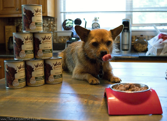 Mini Review: Wild Calling Canned Dog Food
