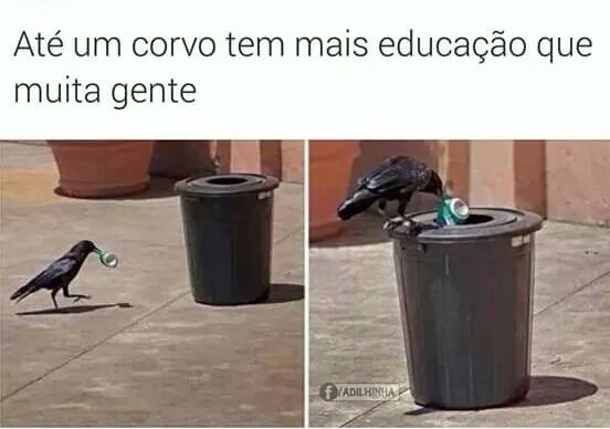 memes+engra%25C3%25A7ados+%252820%2529.j