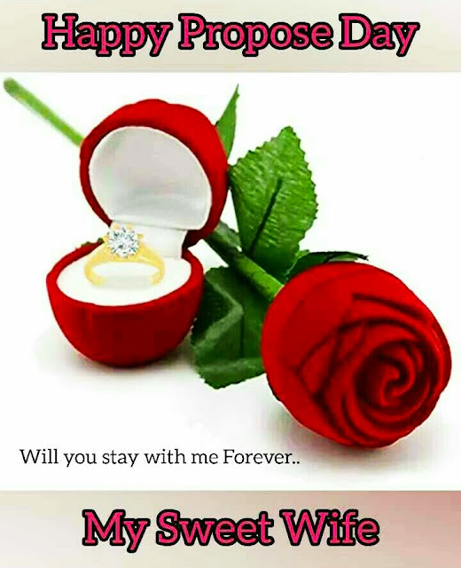 propose day images for whatsapp