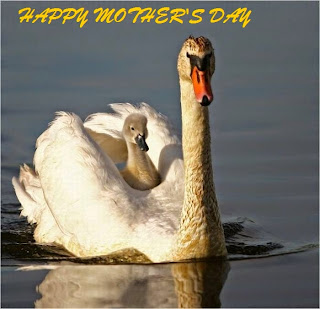 mothers day images