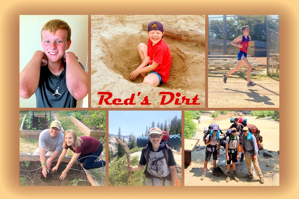 RedsDirt