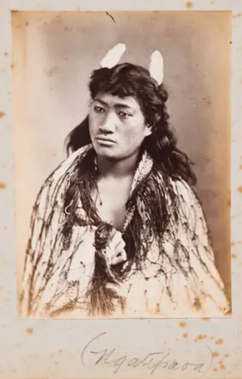 ngati paoa hapu ngati paoa hapu