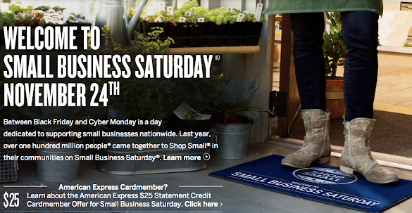 American Express Small Business Card : How to maximize benefits with the Amex Platinum Card ... / Those issued by american express offer some of the most valuable welcome bonuses in canada (like with regular cards), and they are available to anyone who.