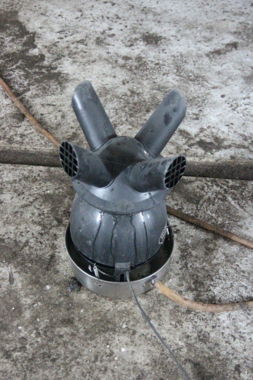 NUMIT Bird Nest 浓密燕窝 : BIRD's NEST ORIGINATED FROM TAIPING, MALAYSIA