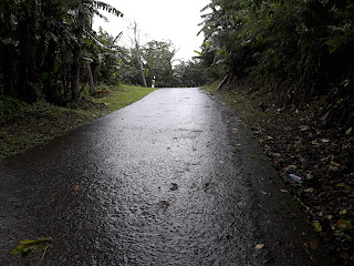 cemented road going to Tayak Hill