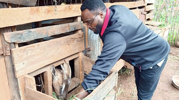 My name is Wambugu Farmer, and I will take you through a few outlines that I have learnt about dairy goat farming during the past few years.