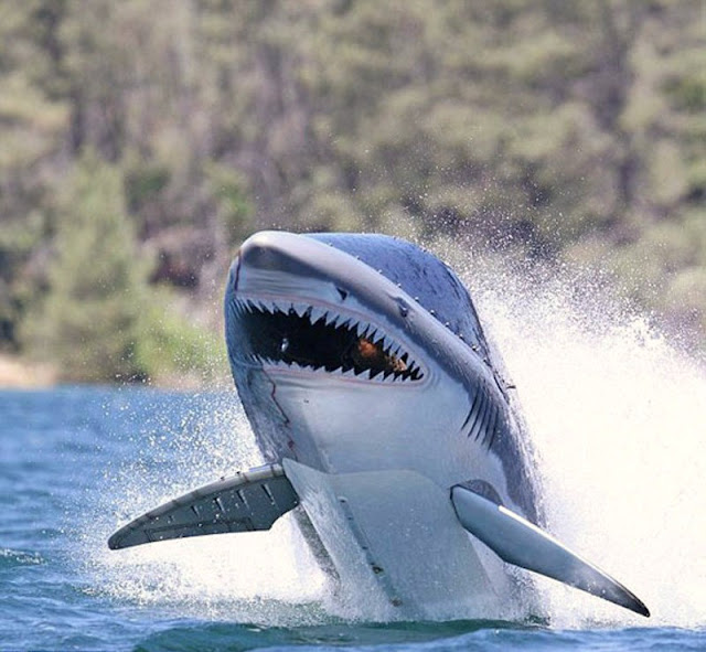 Подводная лодка Seabreacher
