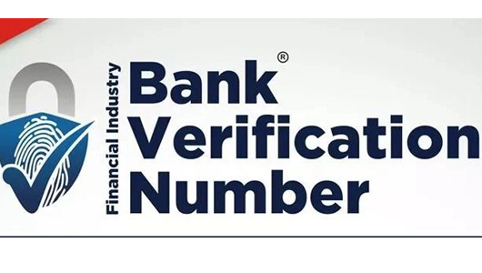 How To Check BVN On All Network (See Video)