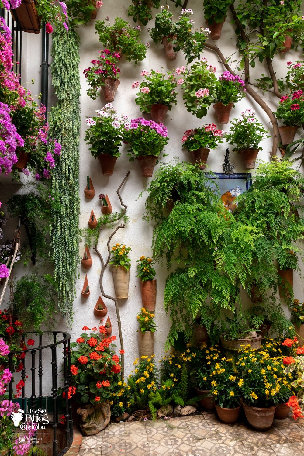 Flora patios de Córdoba
