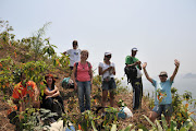 VOLUNTÁRIOS DO PÃO DE AÇÚCAR VERDE