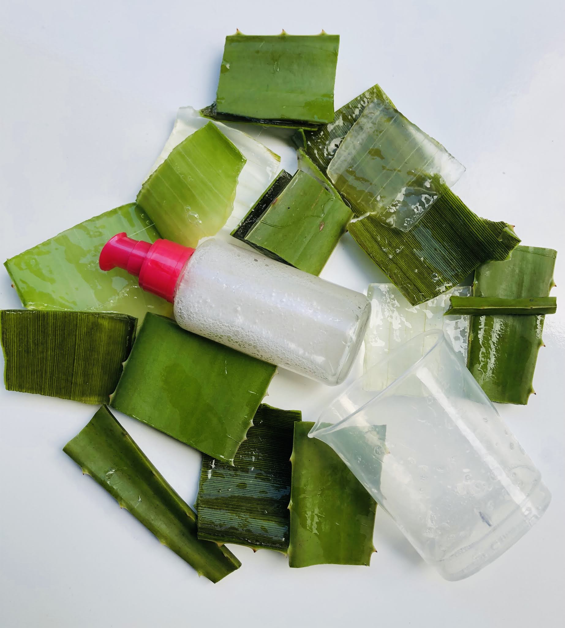 DIY ALOE VERA GEL LEAVEIN CONDITIONER