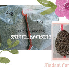 Manfaat Pupuk Kandang Kambing Organik