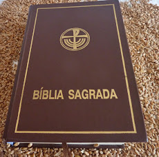 BÍBLIA SAGRADA: O PRIMEIRO GUIA DO CATEQUISTA