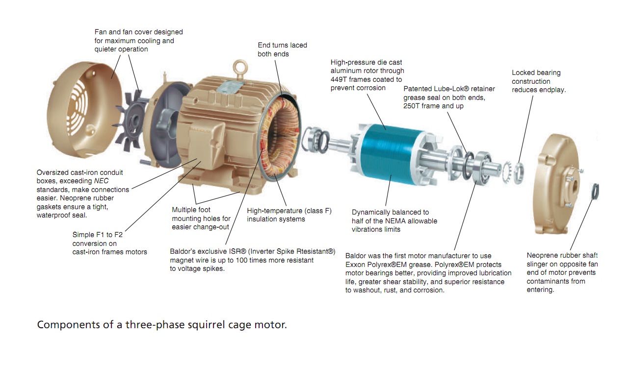 Parts of squirrel cage induction motor.