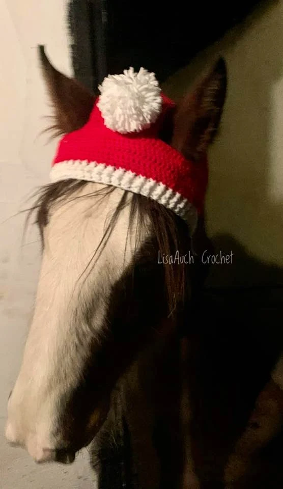 crochet horse hat pattern free- Santa Crochet Hat for a HORSE