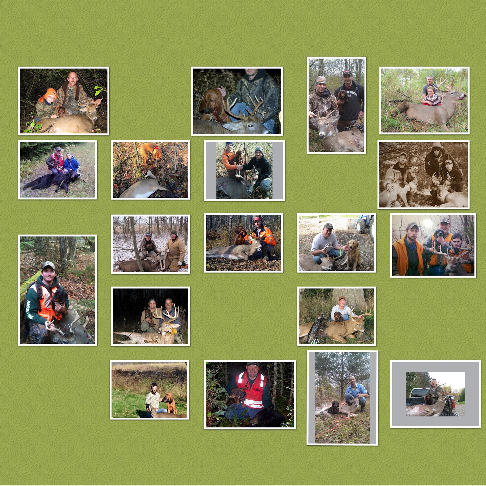 MICHIGAN DEER TRACK'N HOUNDS LLC Michigan's Professional Deer Blood