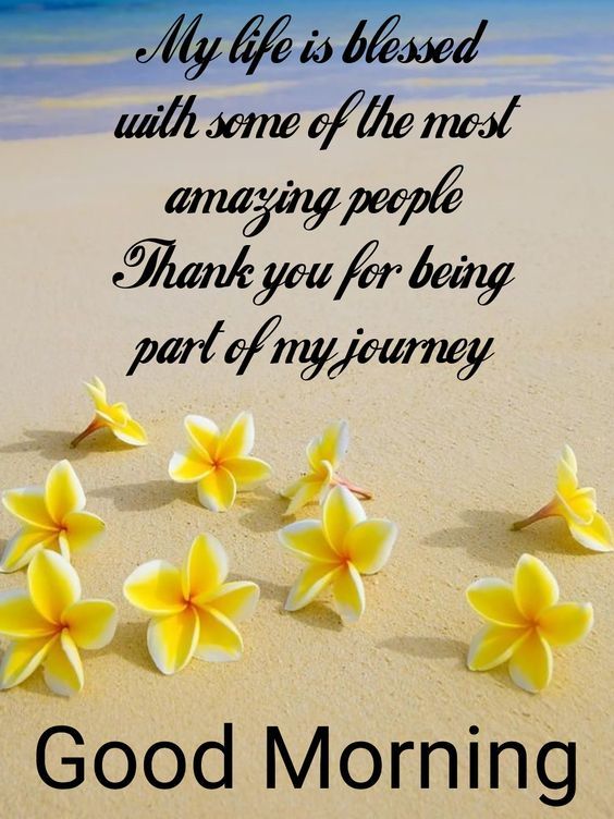Inspirational Blessed Day Quotes Good Morning Have A Blessed Day Quotes Inspirational Blessed Day Quotes Good Morning Have A Blessed Day Quotes