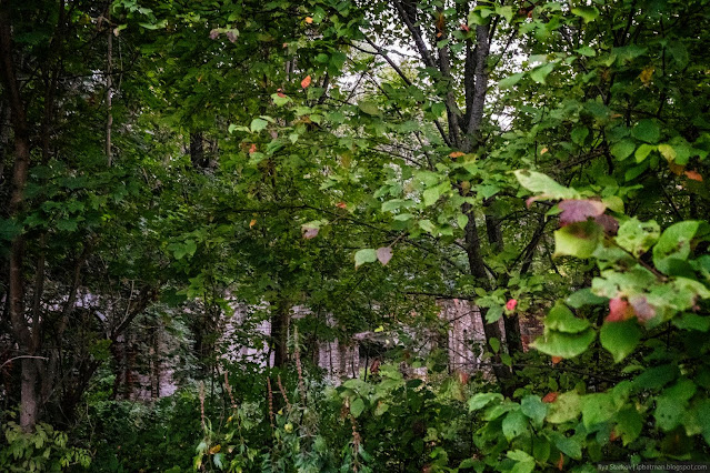 Сочинение про усадьбу рукавишниковых Деревья поросли среди кирпичных развалин