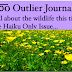 Blo͞o Outlier Journal issue #3 submission guidelines - nature,
wildlife, natural history, wilderness haiku only!