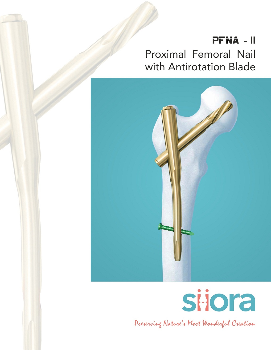 intraHEAL Proximal Femoral Nail Manufacturer, Supplier & Exporter | India