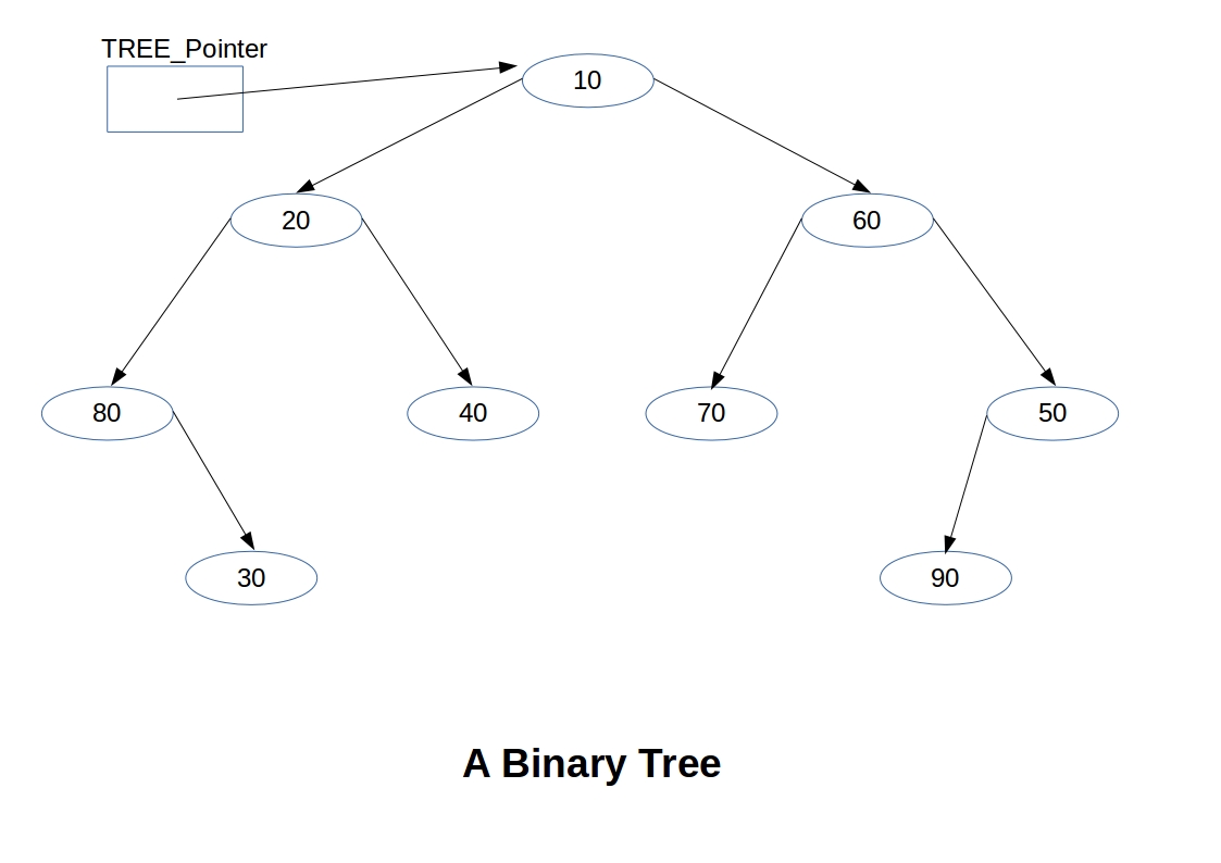 Data Structure: Rooted Binary Tree: An Overview....