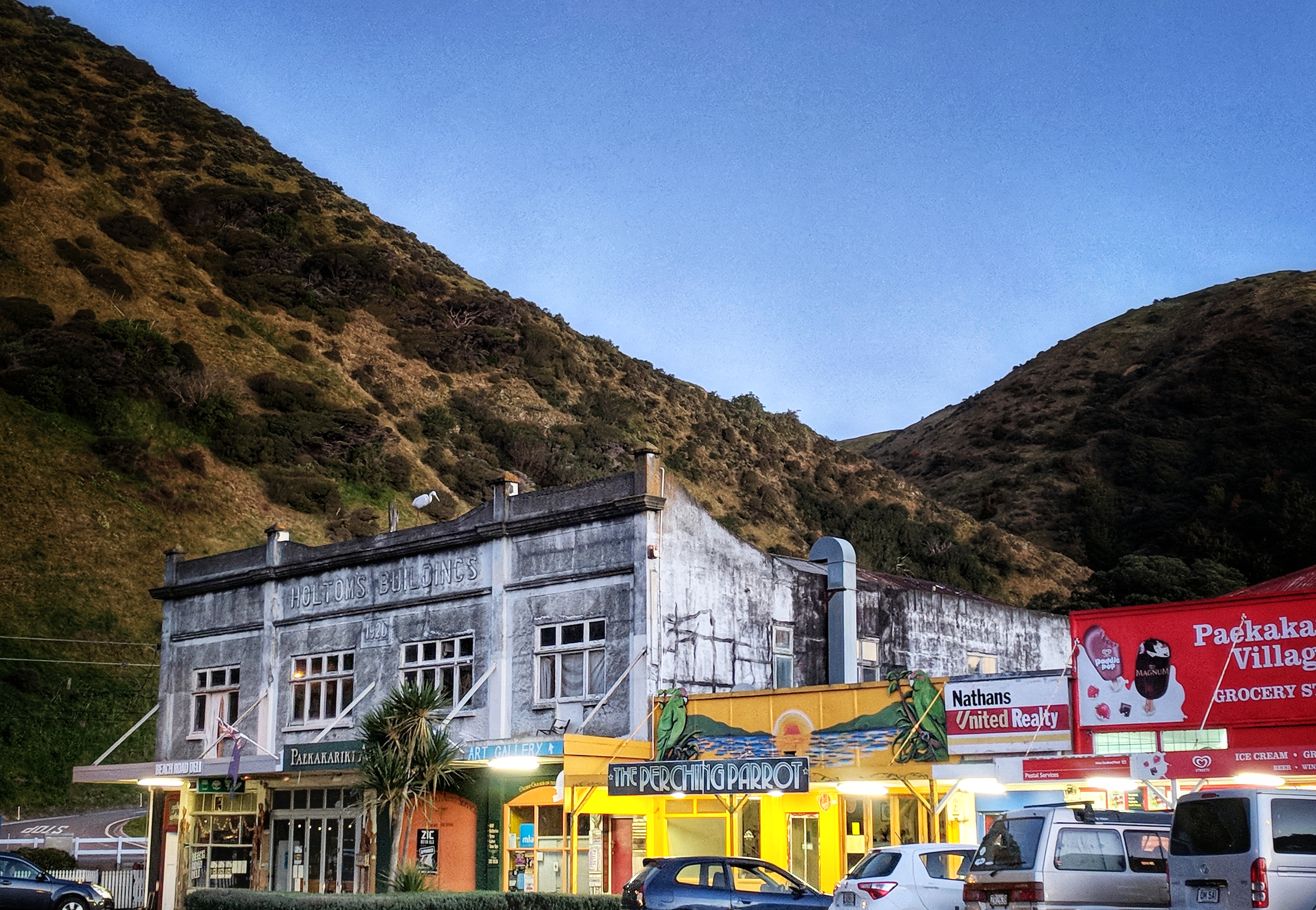 Paekakariki buildings nestled in the hills