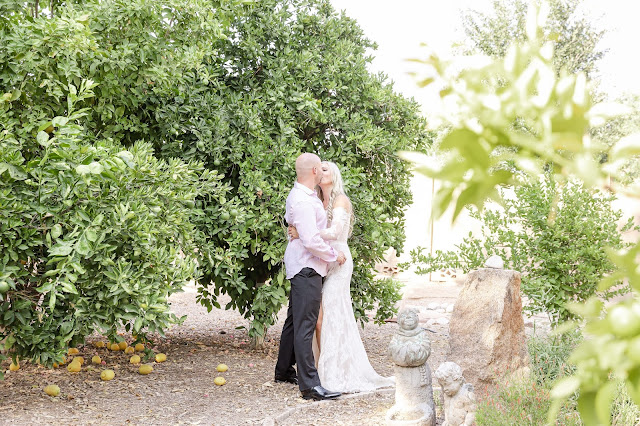 bride and groom photos in fruit tree orchard