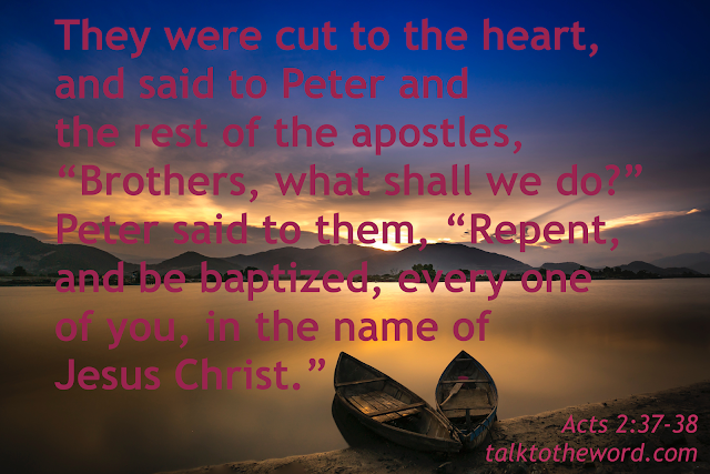 Greek word for repent in acts 2 38