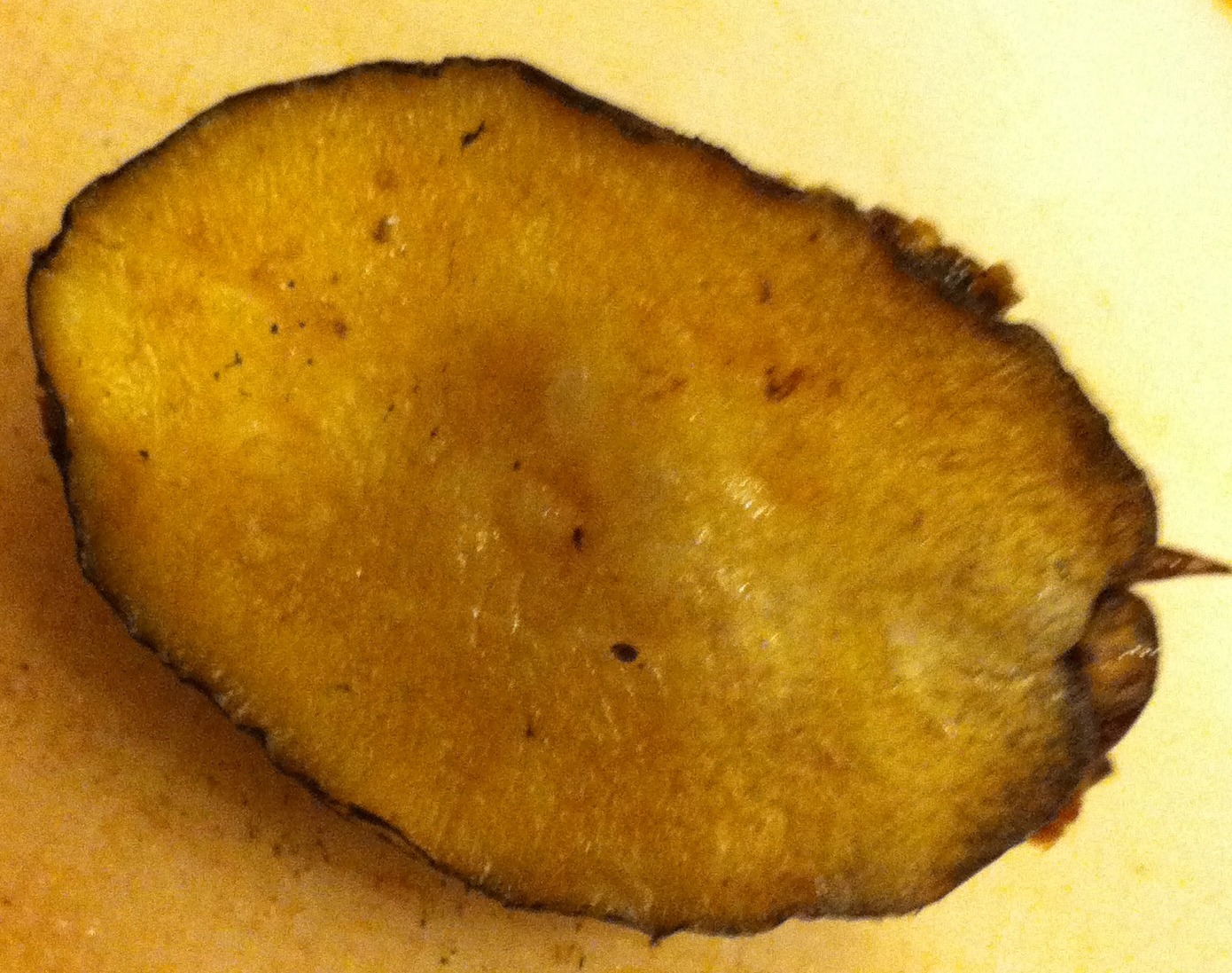 GREAT EATS HAWAII BIG ISLAND ABALONE CORP ABALONE FROM COSTCO