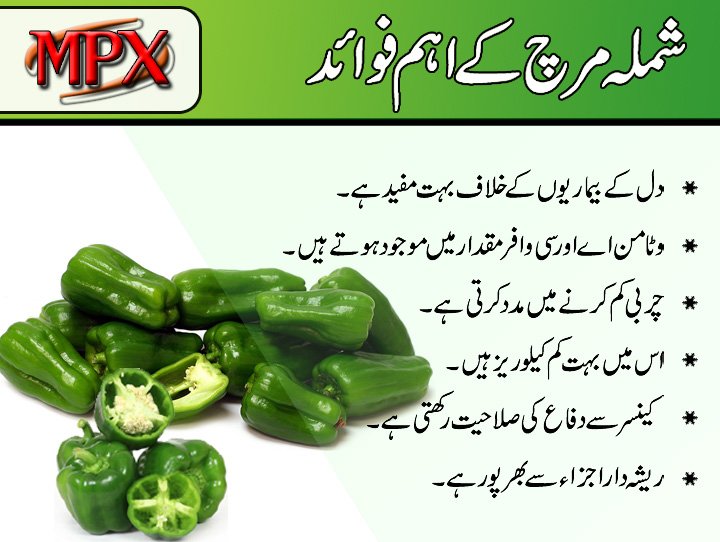 Herbal Beauty Products in Pakistan Best Herbal Beauty Products