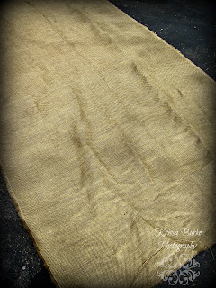 Pixie Dust Boutique: Stenciled Burlap Curtains {this was just too fun ...