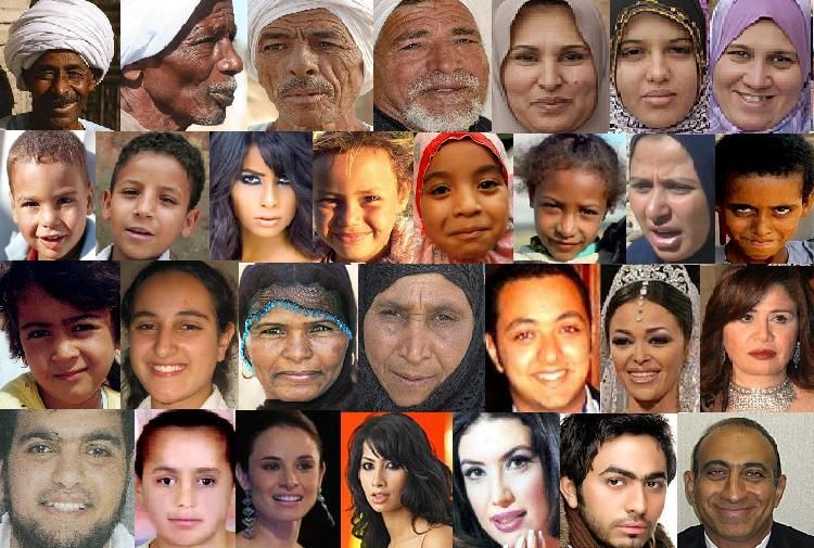 Мусульмане национальности. Этнический Тип внешности. Лицо европейца. Люди с разной внешностью. Египет люди внешность.