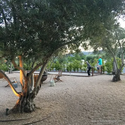 bocce ball court at Allegretto Vineyard Resort in Paso Robles, California