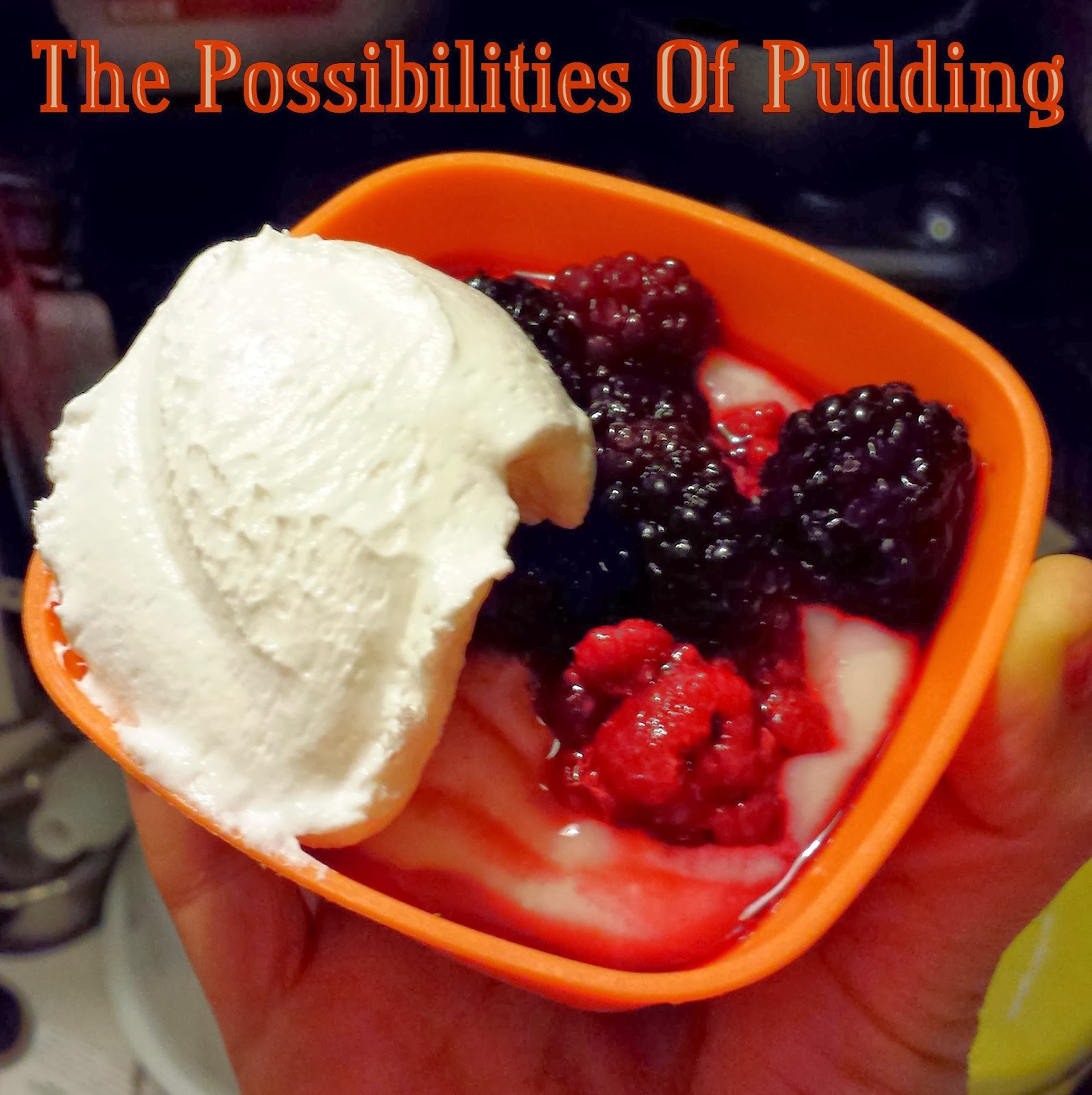 The Fat Free Queen The Possibilities of Pudding