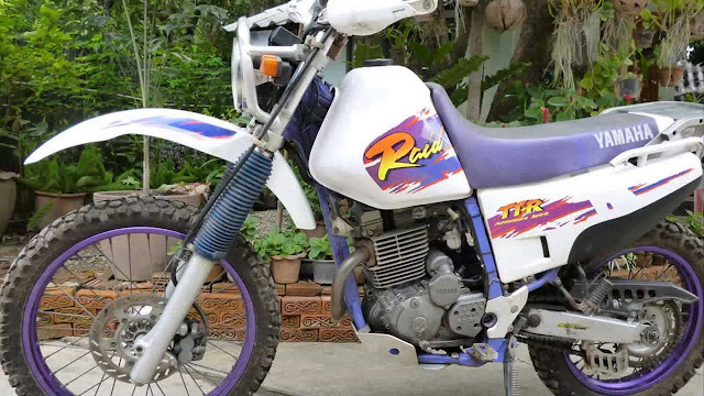 1994-1995 Yamaha TTR250 RAID