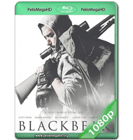BLACKBEAR (2019) WEB-DL 1080P HD MKV ESPAÑOL LATINO