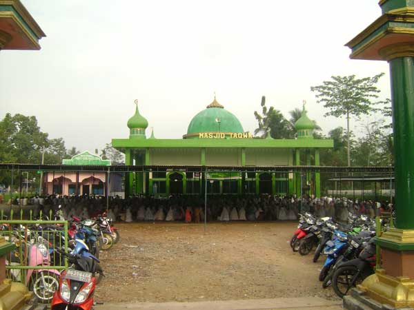 Yang nyasar kesini