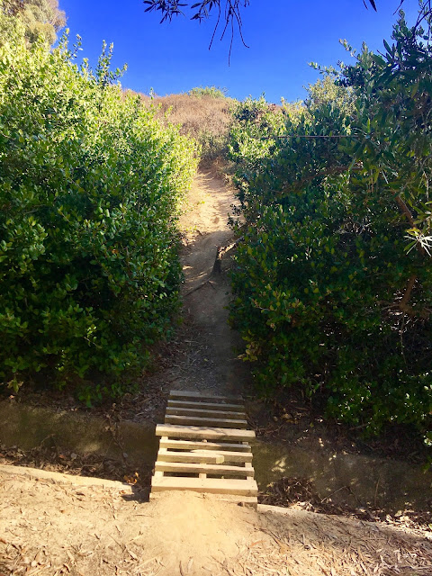 SanDiegoVille: There Is At Least One Hidden Swing In La Jolla, And Here ...