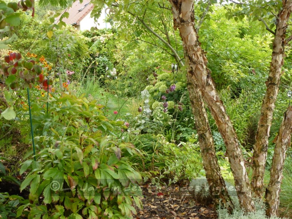 LE JARDIN DES GRANDES VIGNES: Au jardin...
