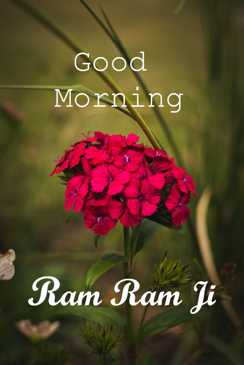Top 10 Good Morning Ram Ram Ji images Photos, greetings, pictures for