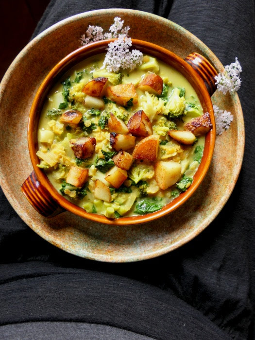 Kinderwunsch Cremiges Curry Mit Brokkoli Roten Linsen Und Spinat Salzkorn Meine Gartenkuche
