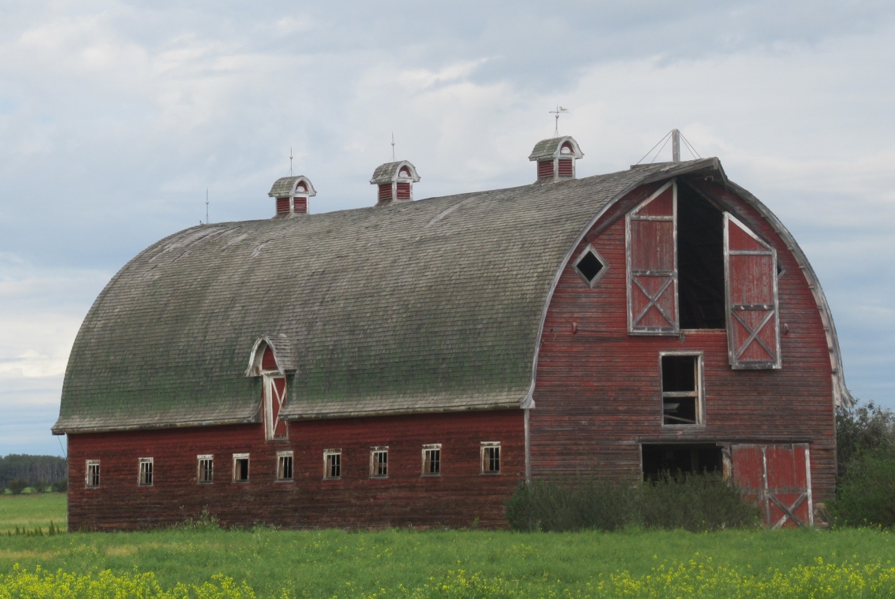 The view from here More Alberta Peace Country with the Redekopps