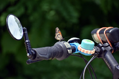 Butterfly on bike