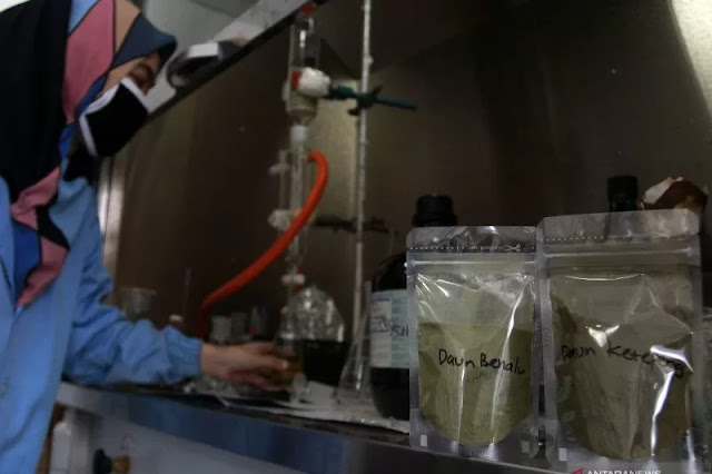 LIPI Harapkan Obat Herbal Antiviral COVID-19 Bisa Uji Klinis Mei 13, 2020