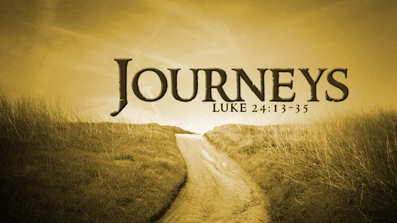 Christ Episcopal Church Father Riley s Homily For April 26 2020 christ-episcopal-church-father-riley-s-homily-for-april-26-2020
