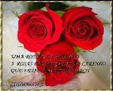 Selo oferecido pela Rosa